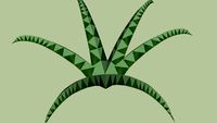 Plant Part