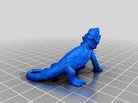 Bearded Dragon! by Randman77