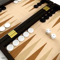 Backgammon3d model