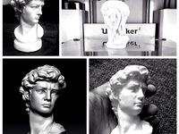 Statue Of David Head  by fabskill