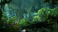 Forest Scene 53d model