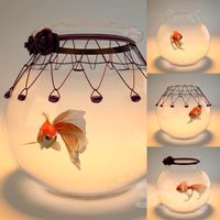goldfish