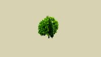 PNG, 3D Baum 3