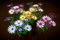 Flower Whirligig Daisies