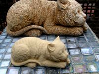 Sleeping Cat by pmoews