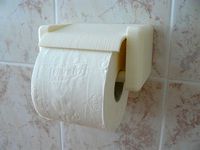 Quick change toilet paper holder by dragonator
