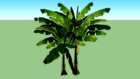 Bananeira modelo