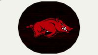 Arkansas Razorbacks