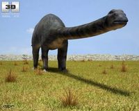 Diplodocus (Diplodocus Longus)3d model