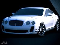 BENTLEY CONTINENTAL SUPERSPORTS3d model