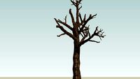 Arbol otoñal , tree in autumn
