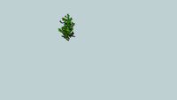 punica granatum nano