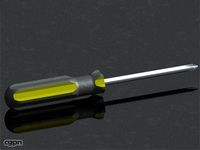 Philips Screwdriver3d model