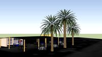 Star Beach _simple