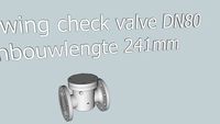 Swing check valve DN80