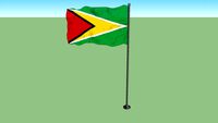 Flag of Guyana