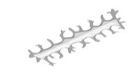 Elongate Dendritic