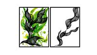 Dupla de Quadros - Lucas Castilho - A Primeira Canção e Primavera Virgem