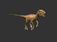 Raptor Rigged 3D Model