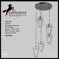 Favourite 1025-5P1