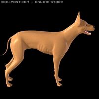 Dog 3D Model