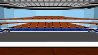 Olimpiyskiy (Олимпийский стадион)