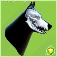 German Shepherd skull and head 3D Model