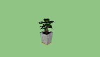 CONCRETE PLANTER 2