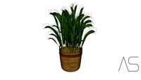 CESTA COM PLANTA