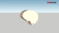 proyecto cerebro