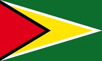 Guyana flag 3D Model