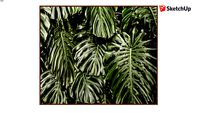 Quadro Save The Atlantic Forest-Artimage