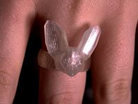 Fennec Fox Ring by Bluebie