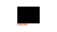 5048009 Negresco POL 120x120