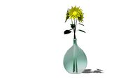 Bonbonne Dame Jeanne / Demijohn bottle