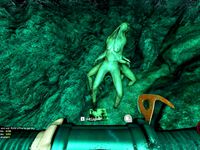 The Forest Spider Mutant & Baby Mutant by MrFreakman
