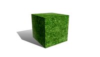 Grass 1