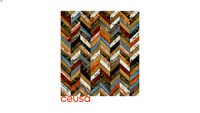 5008376 Chevron Colorido 41x86