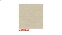 5004323 Pulpis Bege Acetinado 100x100