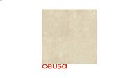 5004313 Bege Boticcino 100x100