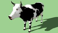 sapi