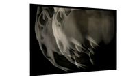 Quadro Faces - Galeria9, por Mario Amaral