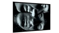 Quadro Reflexo - Galeria9, por Mario Amaral