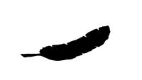 Feather