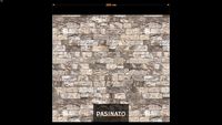 PASINATO REVESTIMENTO FOREST - TS-036