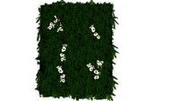 Jardim vertical com samambaias