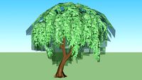 baum