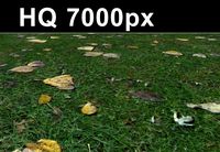 Lawn 2 Seamless Grass Map Hi Res 3D Model