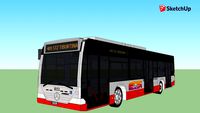 Copia di Roma Atac Bus- Mercedes Citaro