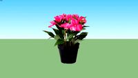 Cocor Bebek Pink